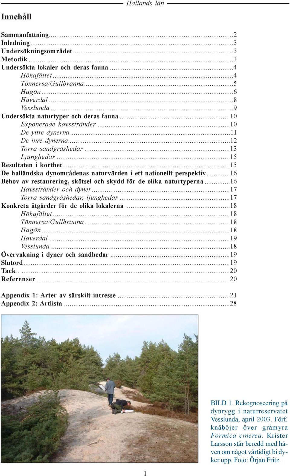 ..15 De halländska dynområdenas naturvärden i ett nationellt perspektiv...16 Behov av restaurering, skötsel och skydd för de olika naturtyperna...16 Havsstränder och dyner.