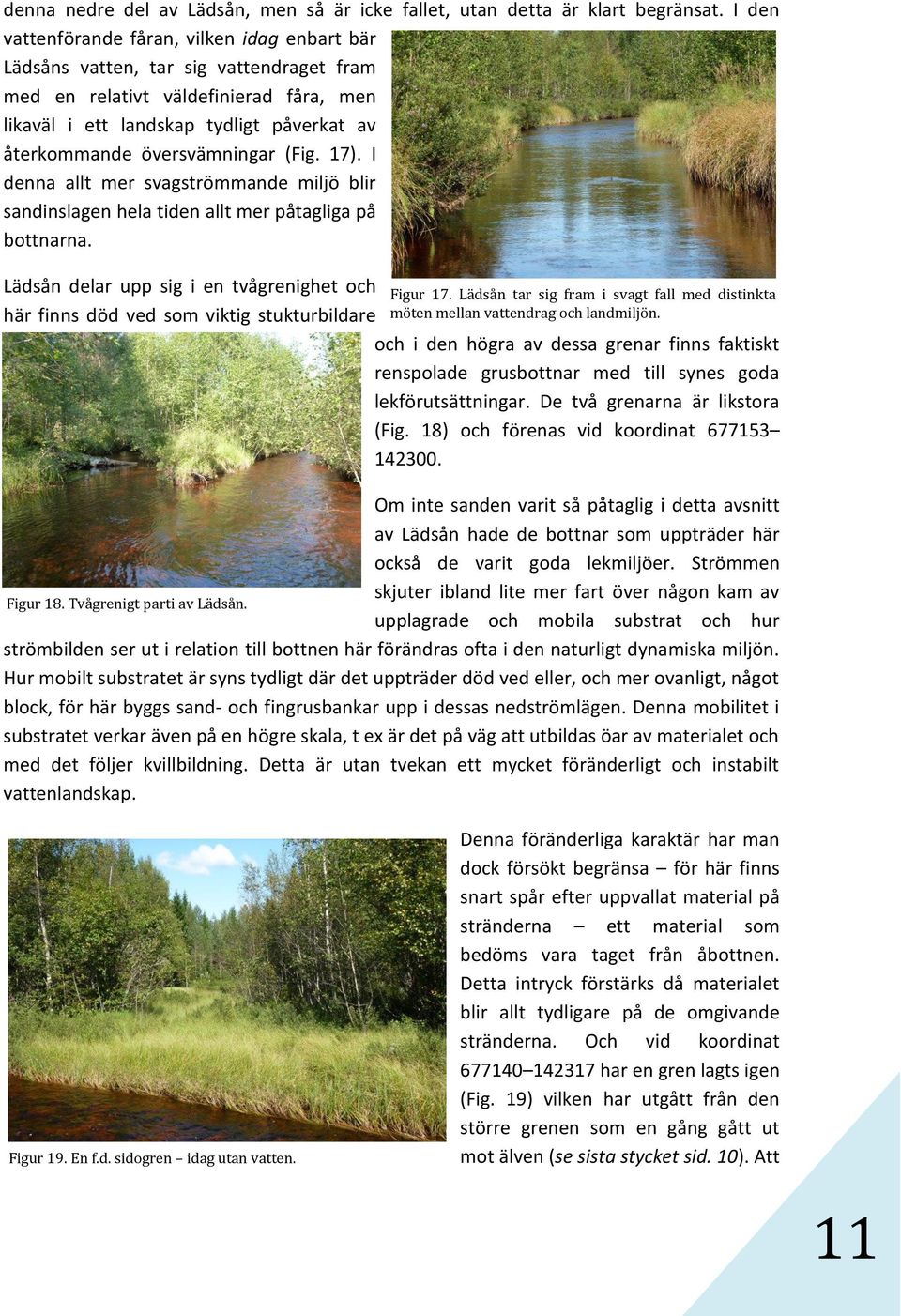 översvämningar (Fig. 17). I denna allt mer svagströmmande miljö blir sandinslagen hela tiden allt mer påtagliga på bottnarna.