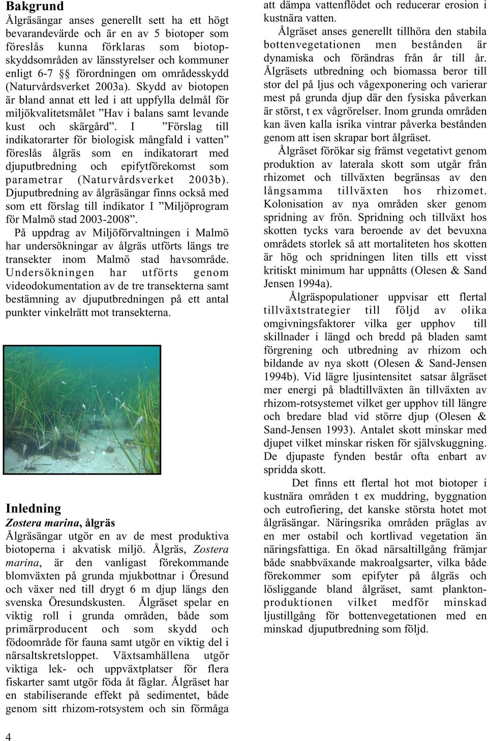 I Förslag till indikatorarter för biologisk mångfald i vatten föreslås ålgräs som en indikatorart med djuputbredning och epifytförekomst som parametrar (Naturvårdsverket 2003b).