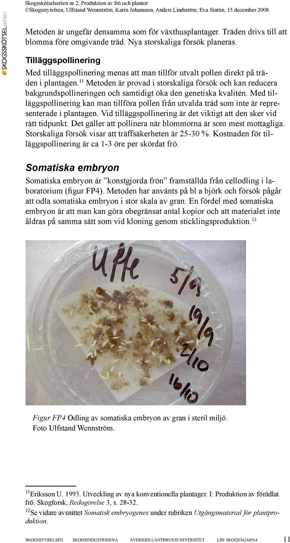 11 Metoden är provad i storskaliga försök och kan reducera bakgrundspollineringen och samtidigt öka den genetiska kvalitén.