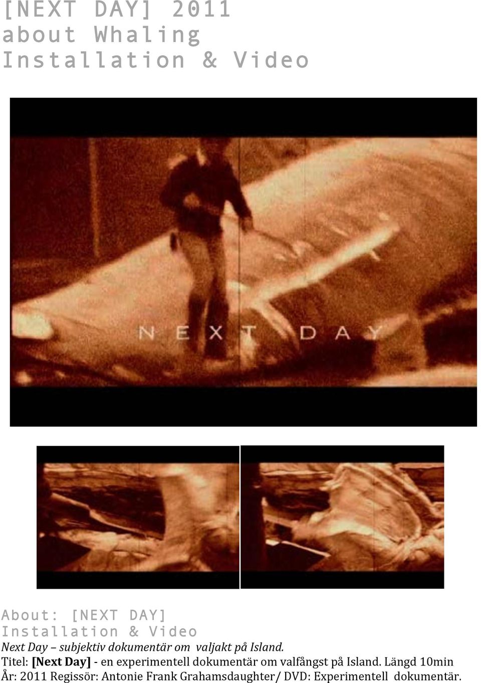 Titel: [Next Day] - en experimentell dokumentär om valfångst på Island.