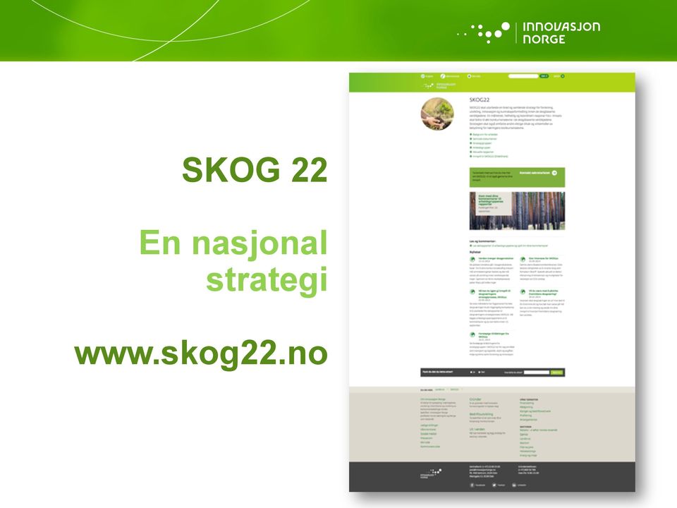 strategi