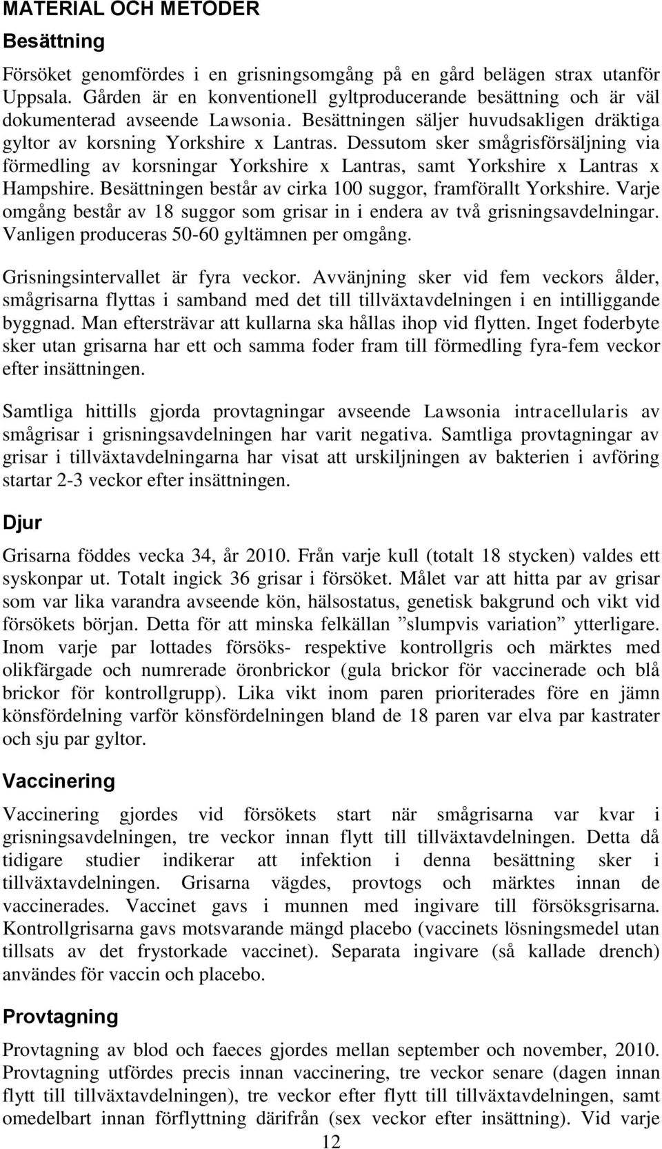 Dessutom sker smågrisförsäljning via förmedling av korsningar Yorkshire x Lantras, samt Yorkshire x Lantras x Hampshire. Besättningen består av cirka 100 suggor, framförallt Yorkshire.