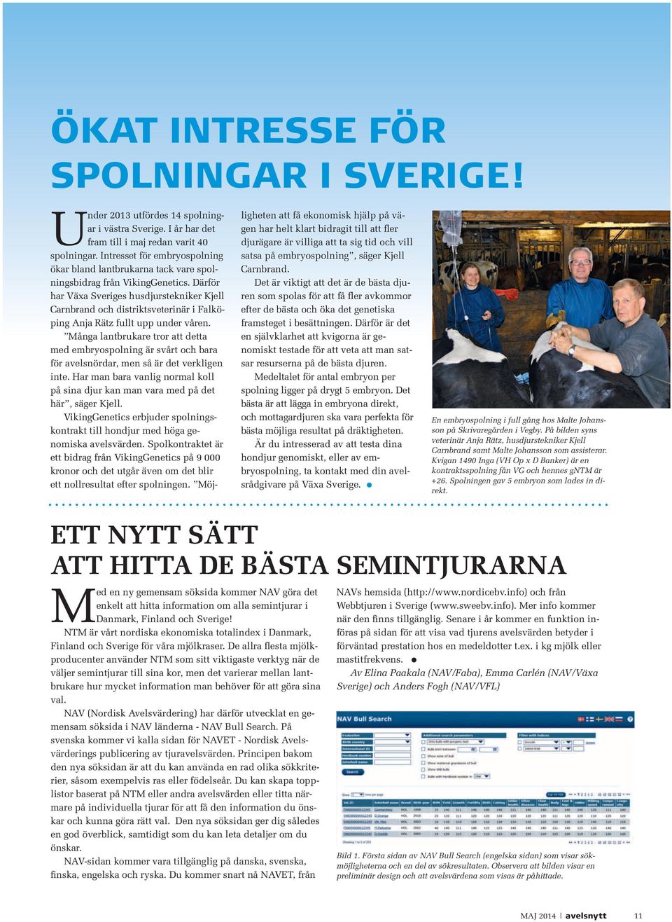 Därför har Växa Sveriges husdjurstekniker Kjell Carnbrand och distriktsveterinär i Falköping Anja Rätz fullt upp under våren.