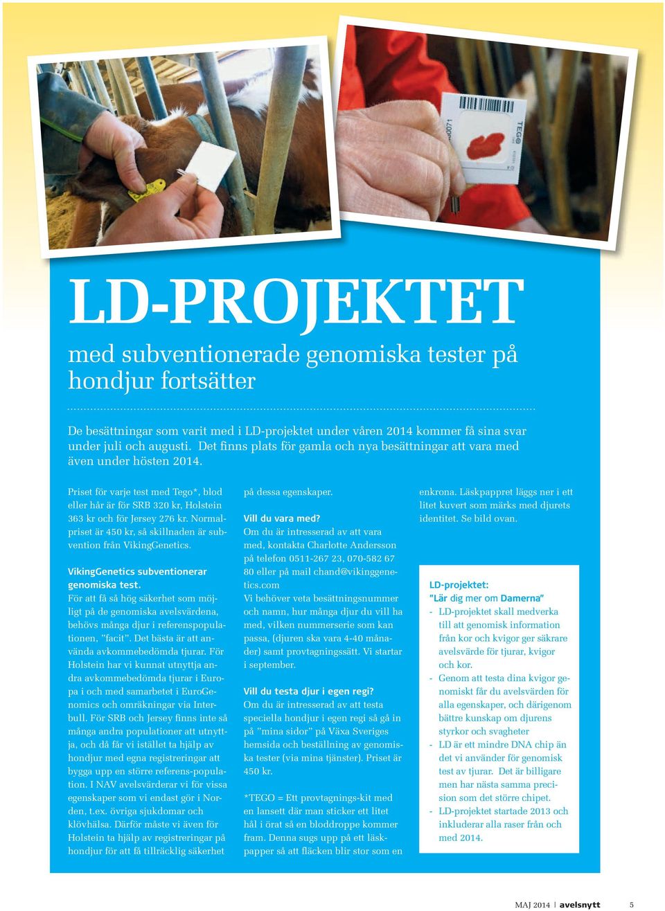 Normalpriset är 450 kr, så skillnaden är subvention från VikingGenetics. VikingGenetics subventionerar genomiska test.