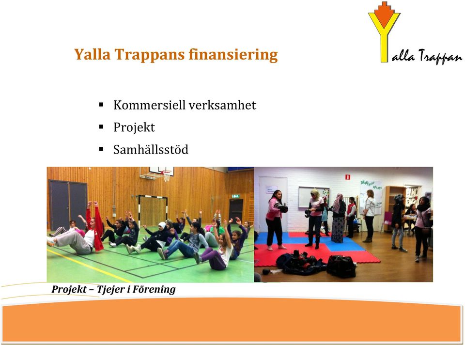verksamhet Projekt