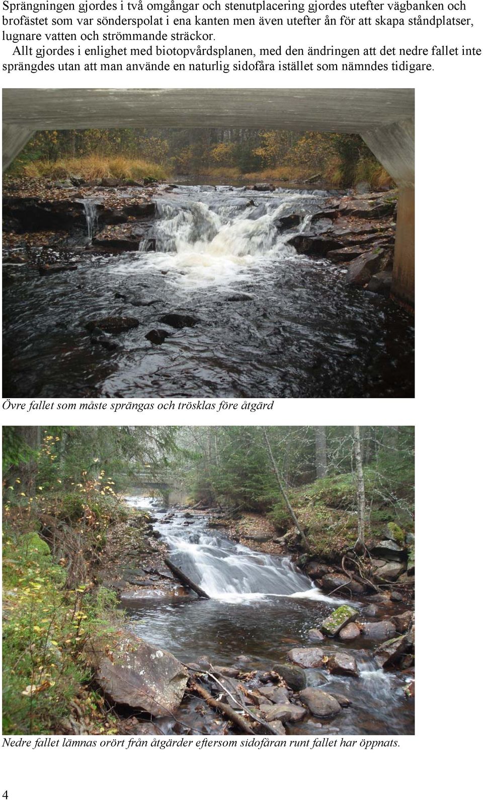 Allt gjordes i enlighet med biotopvårdsplanen, med den ändringen att det nedre fallet inte sprängdes utan att man använde en naturlig