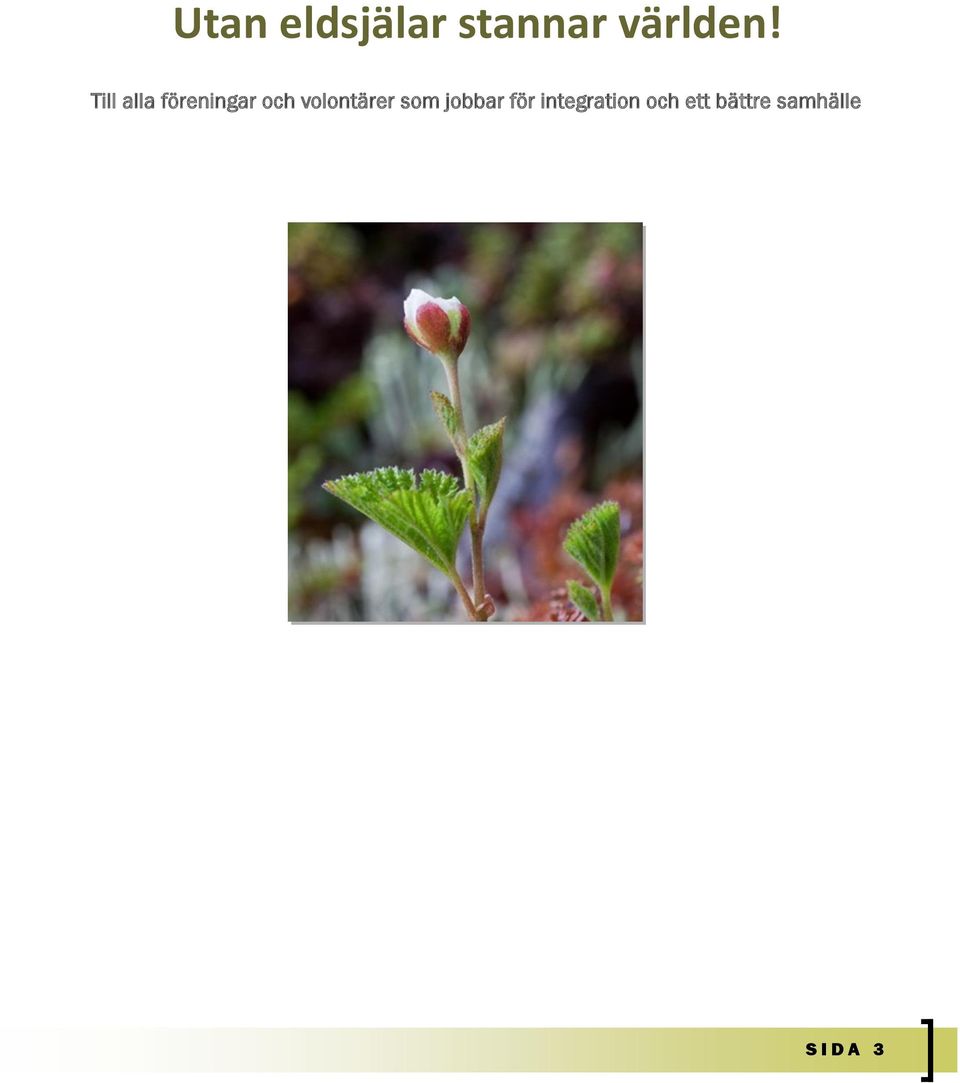 volontärer som jobbar för