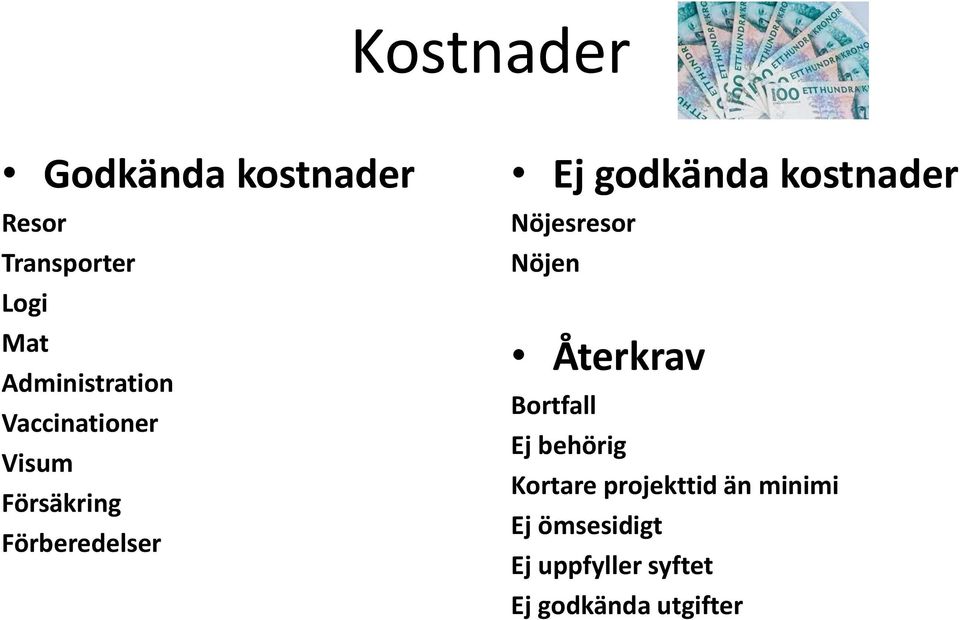 godkända kostnader Nöjesresor Nöjen Återkrav Bortfall Ej behörig