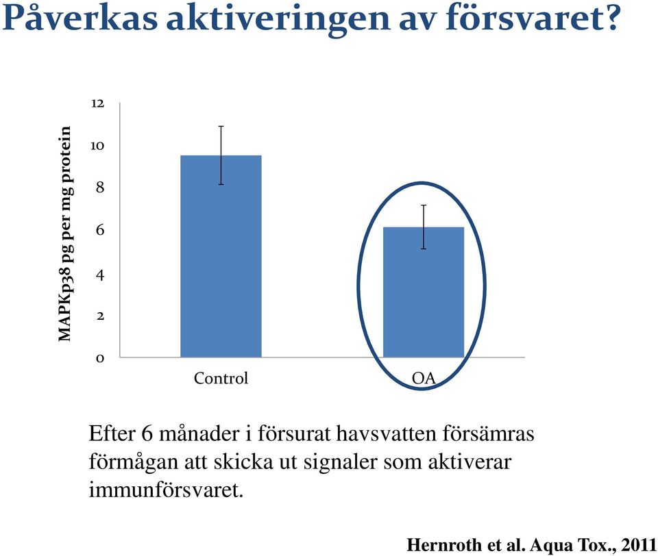 12 10 8 6 4 2 0 Control OA Efter 6 månader i försurat