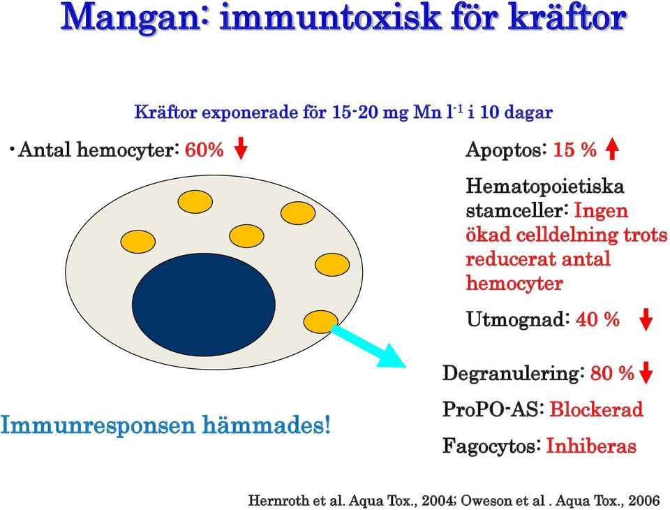 reducerat antal hemocyter Utmognad: 40 % Degranulering: 80 % Immunresponsen hämmades!