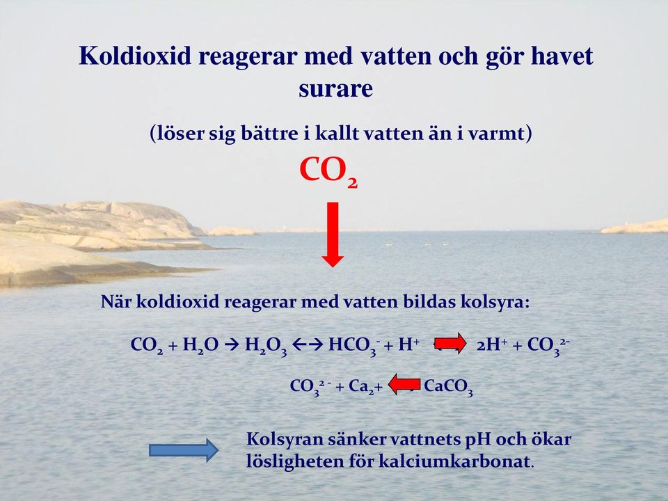 kolsyra: CO 2 + H 2 O H 2 O 3 HCO 3- + H + 2H + + CO 3 2- CO 3 2 - + Ca 2