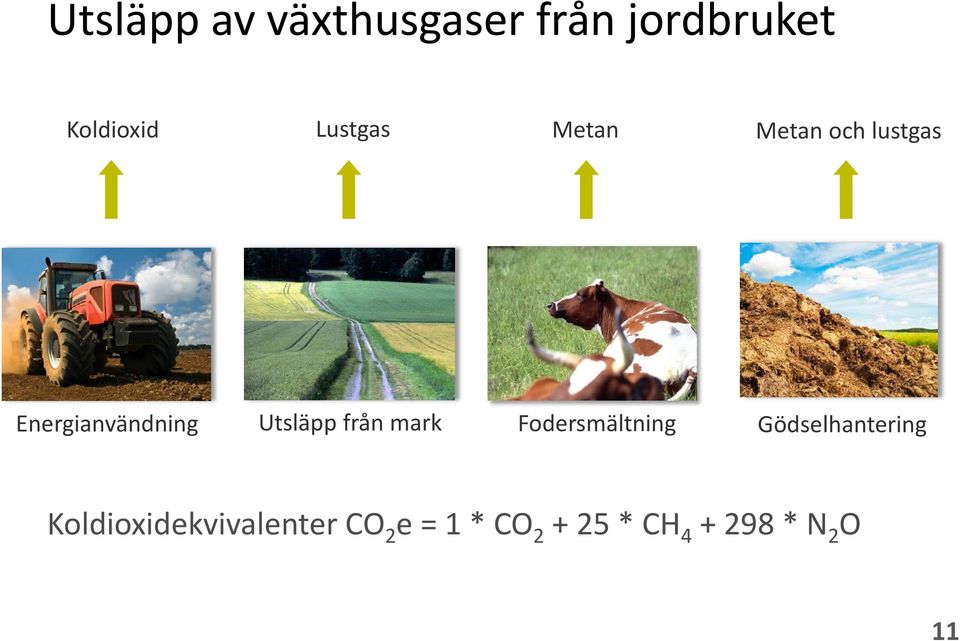 Utsläpp från mark Fodersmältning Gödselhantering