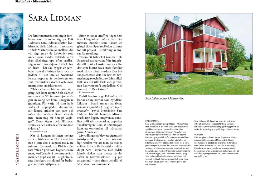 Didrik har en dröm här ska byggas en jernbana som ska bringa lycka och rikedom till det inre av Norrland. Jernbaneeposet är berättelsen om små människors storhet och stora människors småskurenhet.