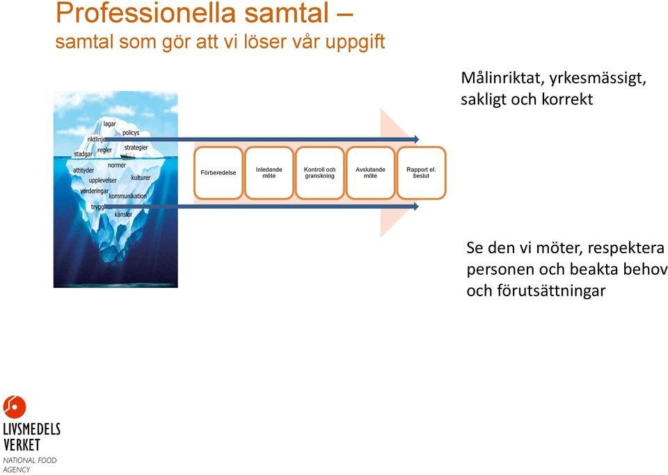 Inledande möte Kontroll och granskning Avslutande möte Rapport el.