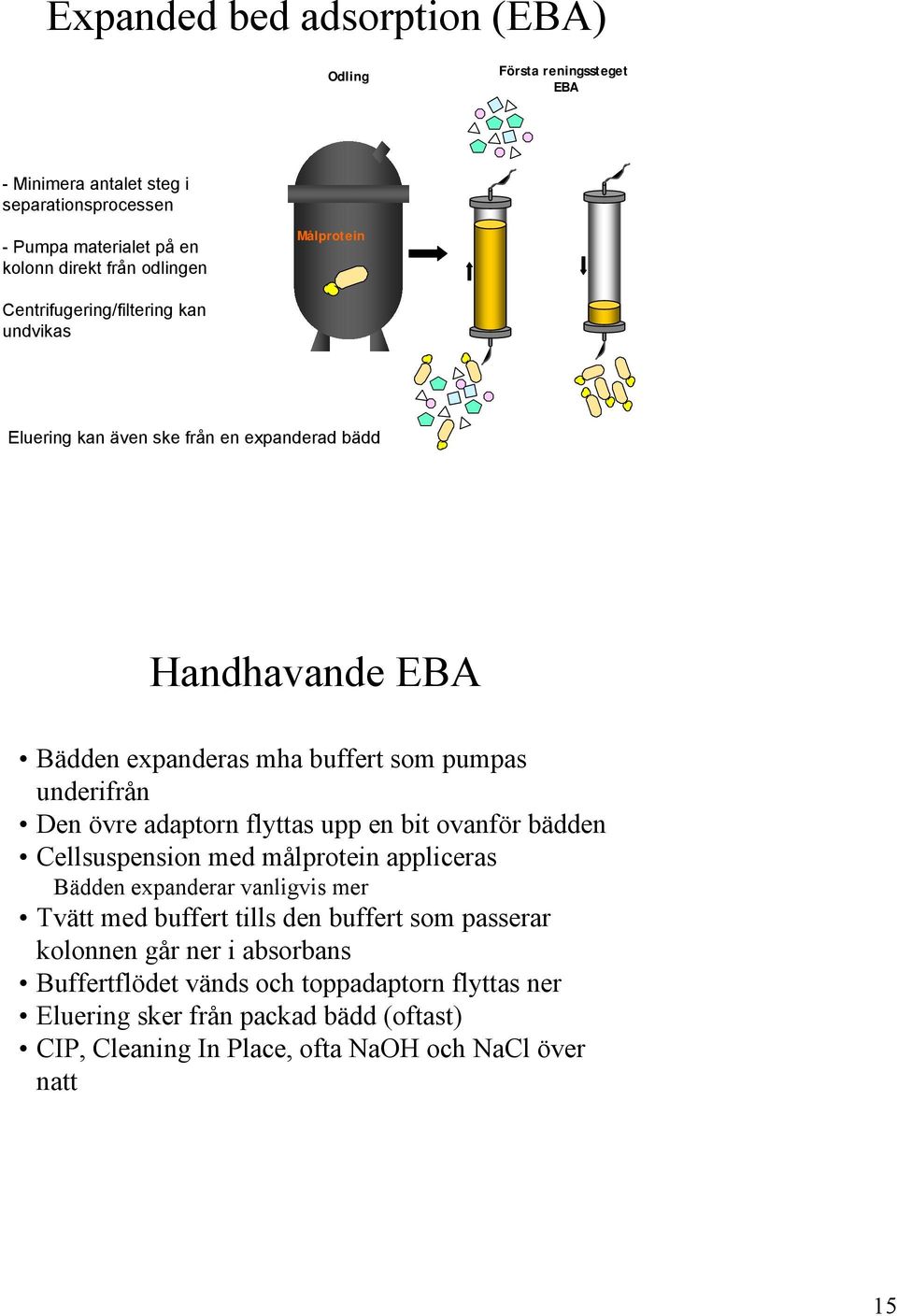 övre adaptorn flyttas upp en bit ovanför bädden Cellsuspension med målprotein appliceras Bädden expanderar vanligvis mer Tvätt med buffert tills den buffert som