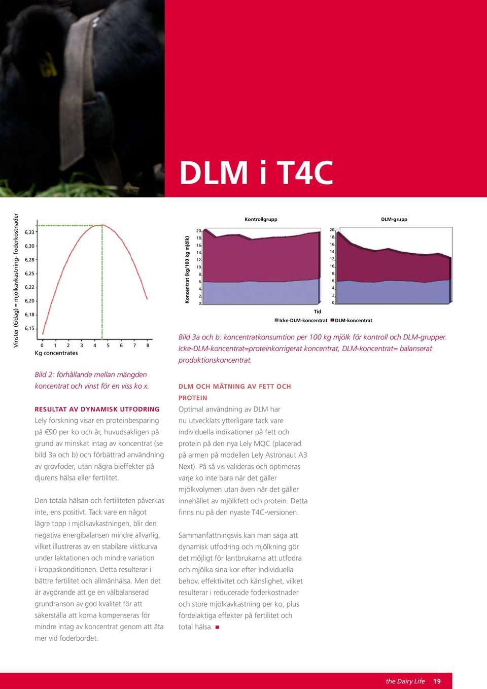 Icke-DLM-koncentrat=proteinkorrigerat koncentrat, DLM-koncentrat= balanserat produktionskoncentrat. Bild 2: förhållande mellan mängden koncentrat och vinst för en viss ko x.