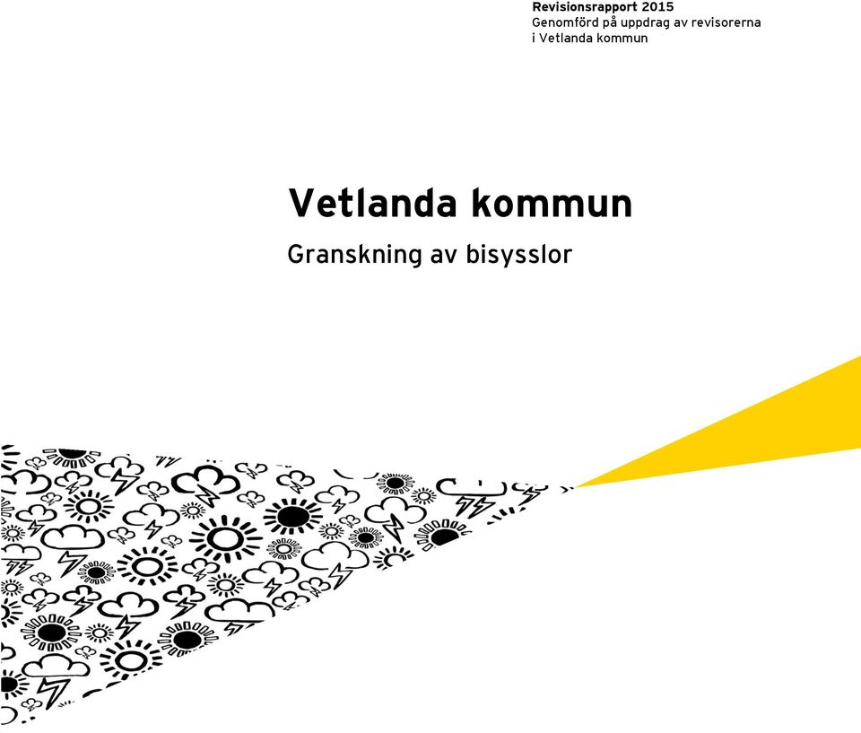 revisorerna i Vetlanda