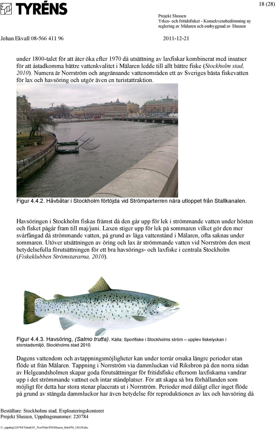 Havsöringen i Stockholm fiskas främst då den går upp för lek i strömmande vatten under hösten och fisket pågår fram till maj/juni.