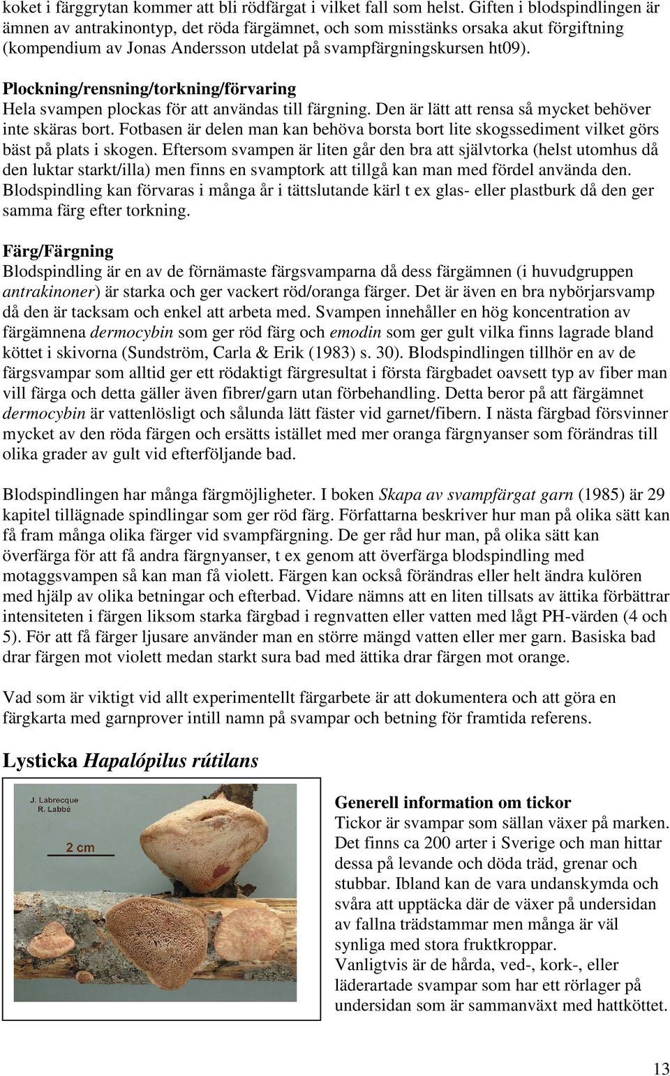 Plockning/rensning/torkning/förvaring Hela svampen plockas för att användas till färgning. Den är lätt att rensa så mycket behöver inte skäras bort.