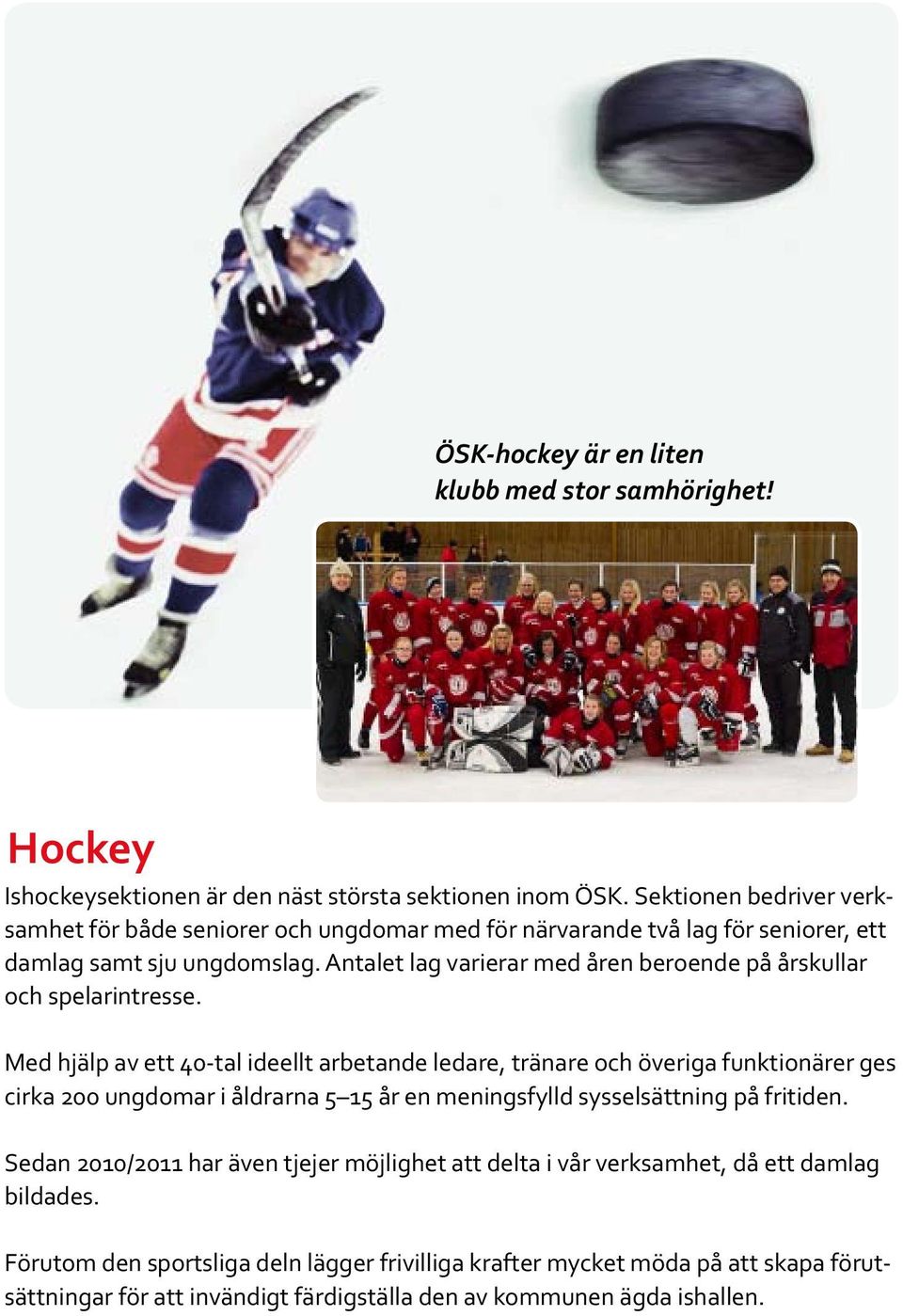 Antalet lag varierar med åren beroende på årskullar och spelarintresse.
