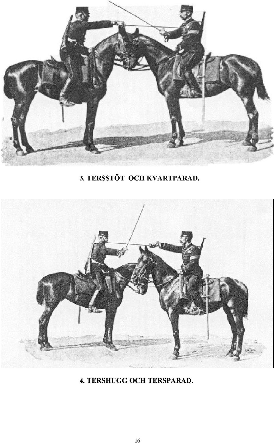 4. TERSHUGG