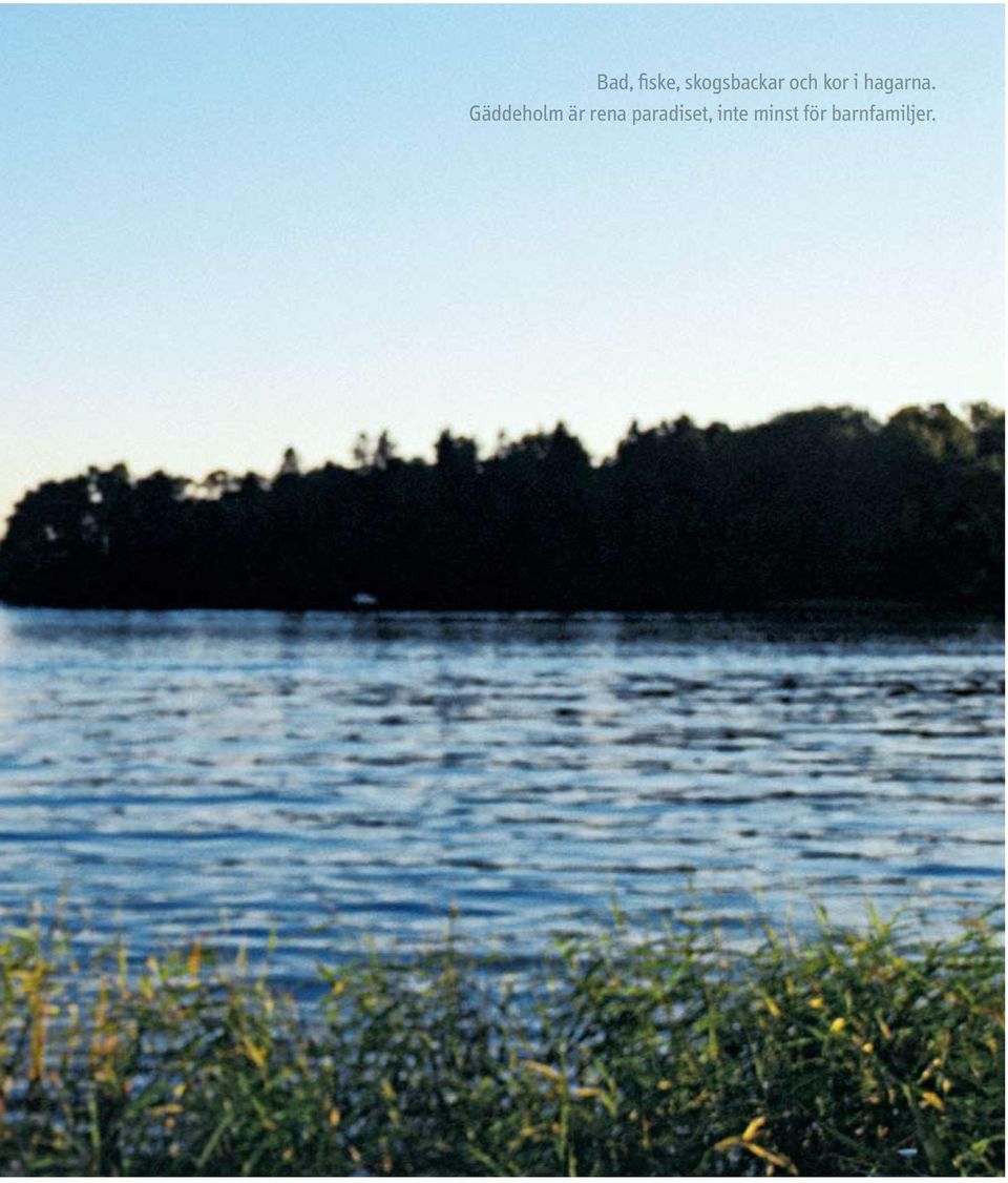 Gäddeholm är rena