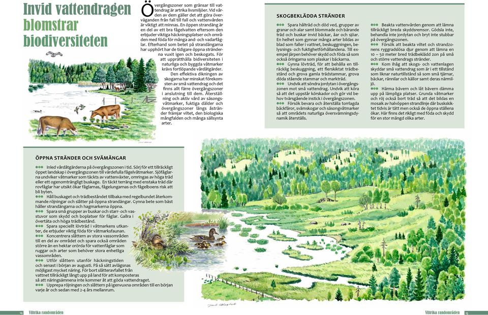En öppen strandäng är en del av ett bra fågelvatten eftersom den erbjuder viktiga häckningsplatser och områden med föda för många and- och vadarfåglar.