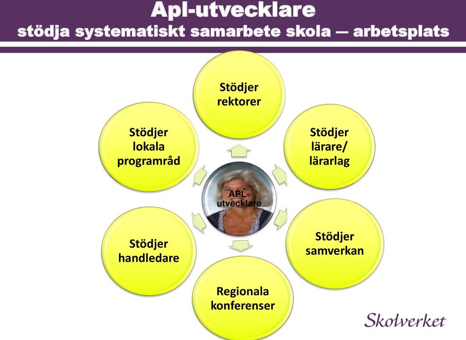 programråd Stödjer lärare/ lärarlag APLutvecklare