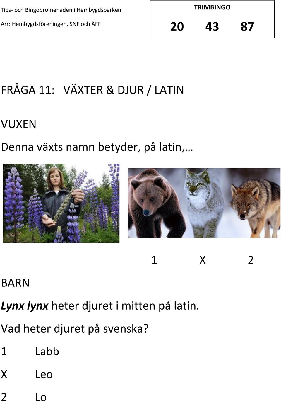 2 Lynx lynx heter djuret i mitten på latin.