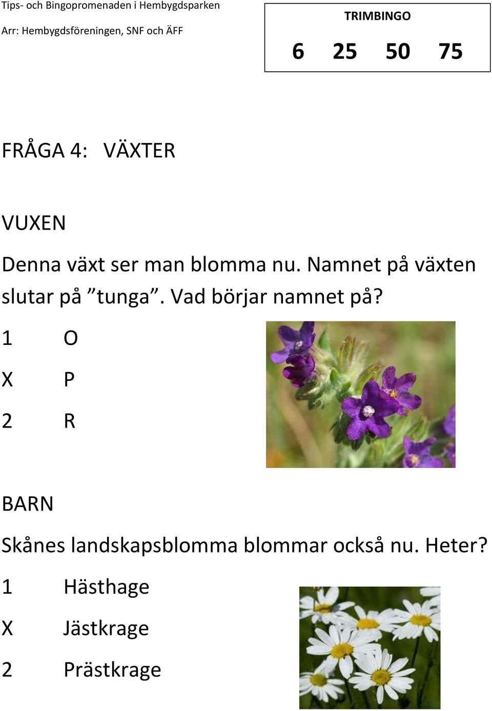 Vad börjar namnet på?