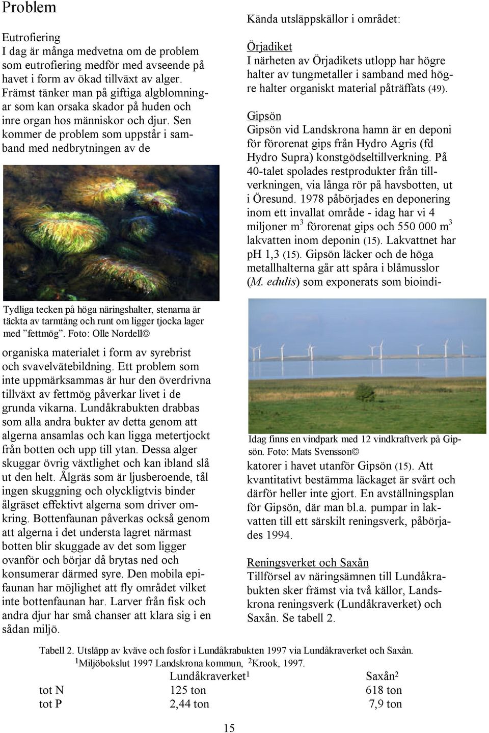 Sen kommer de problem som uppstår i samband med nedbrytningen av de Tydliga tecken på höga näringshalter, stenarna är täckta av tarmtång och runt om ligger tjocka lager med fettmög.