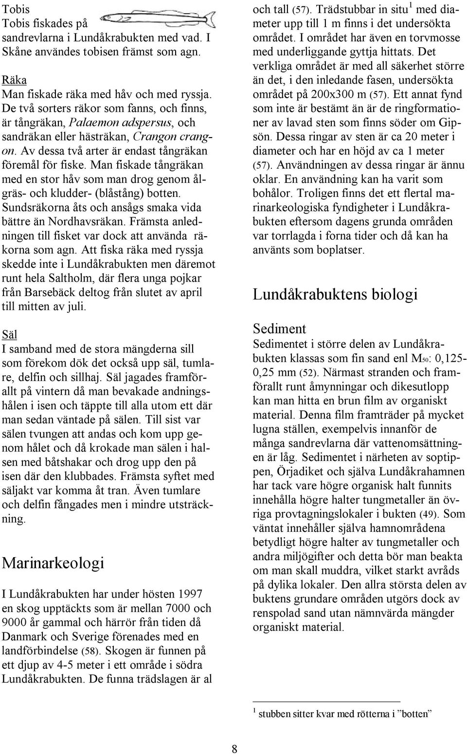 Man fiskade tångräkan med en stor håv som man drog genom ålgräs- och kludder- (blåstång) botten. Sundsräkorna åts och ansågs smaka vida bättre än Nordhavsräkan.