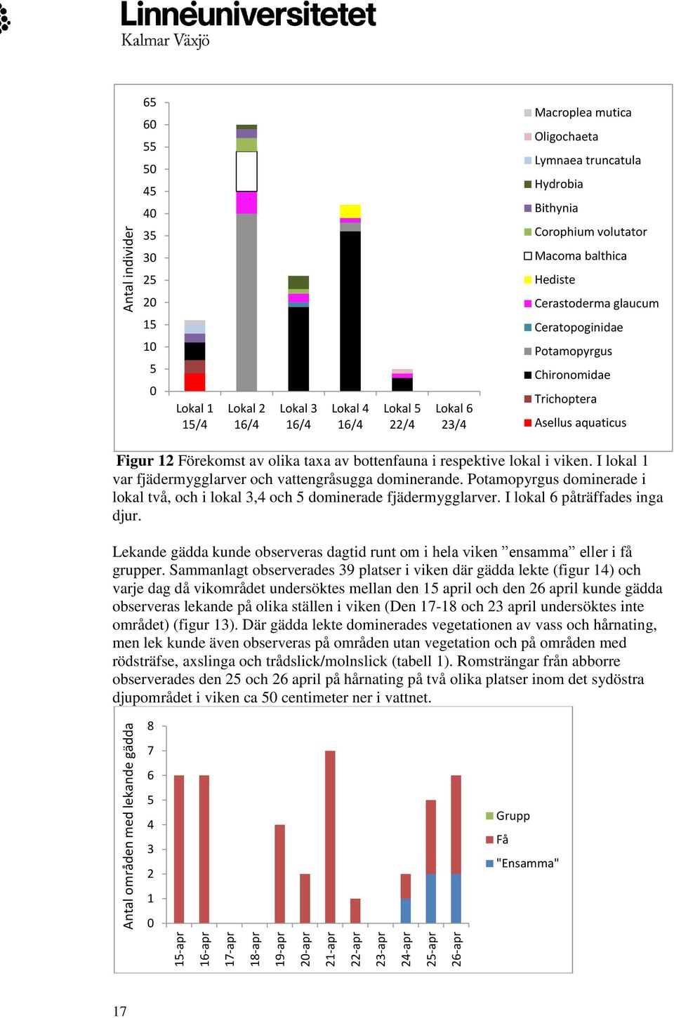 Ceratopoginidae Potamopyrgus Chironomidae Trichoptera Asellus aquaticus Figur 12 Förekomst av olika taxa av bottenfauna i respektive lokal i viken.