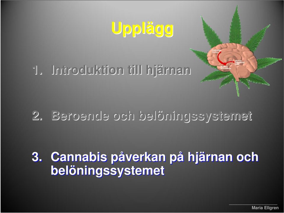 Beroende och belöningssystemet