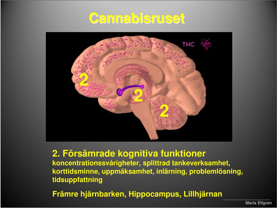 koncentrationssvårigheter, splittrad tankeverksamhet,