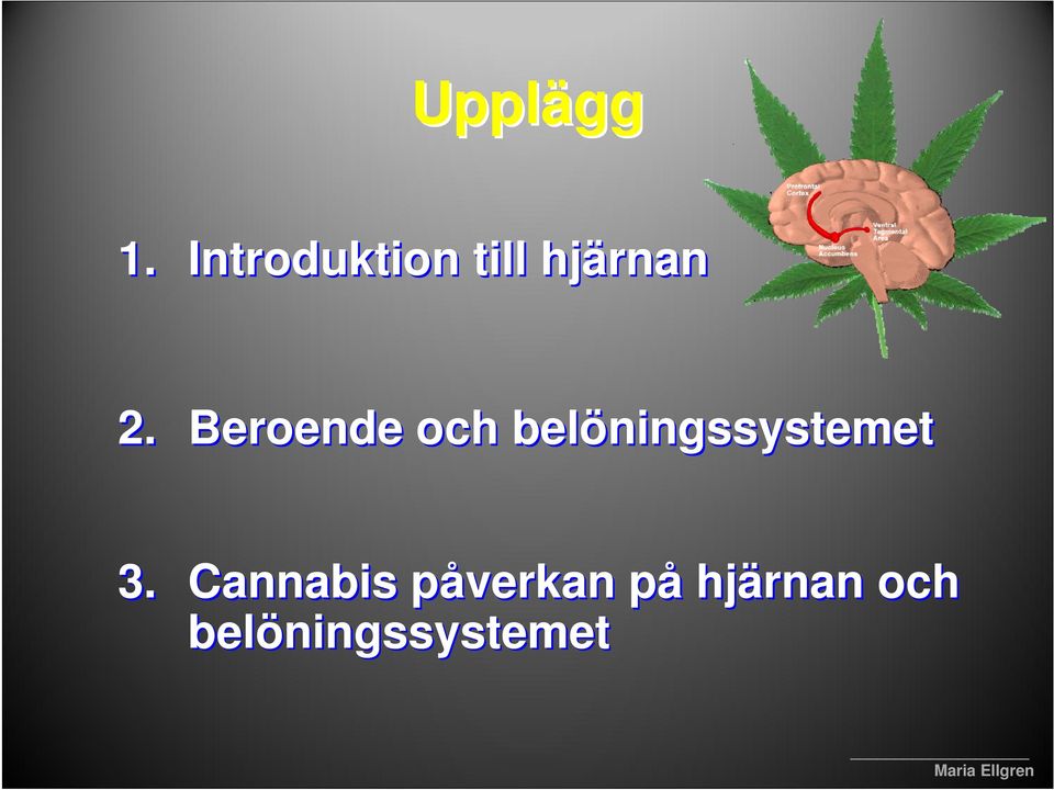 Beroende och belöningssystemet