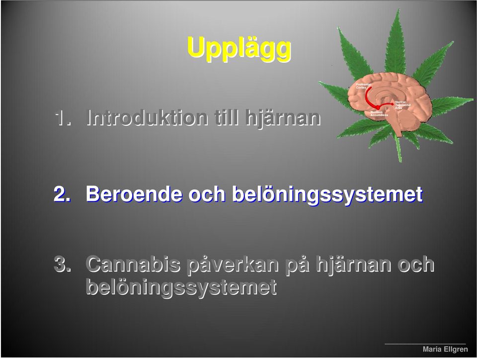 Beroende och belöningssystemet