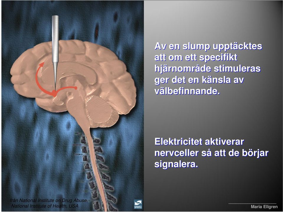 Elektricitet aktiverar nervceller så att de börjar signalera.