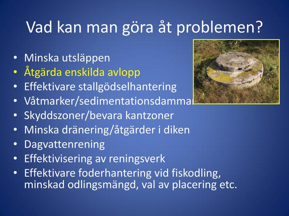 Våtmarker/sedimentationsdammar Skyddszoner/bevara kantzoner Minska