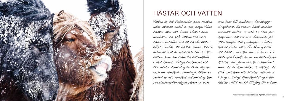 Tidiga tecken på ett för litet vattenintag är fodervägran och en minskad urinmängd.
