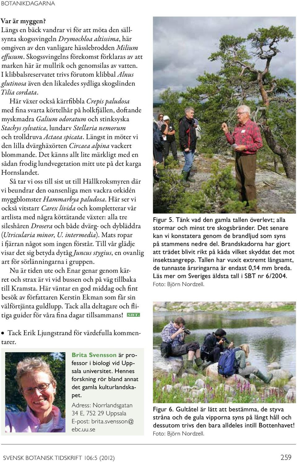 I klibbals reservatet trivs förutom klibbal Alnus glutinosa även den likaledes sydliga skogslinden Tilia cordata.