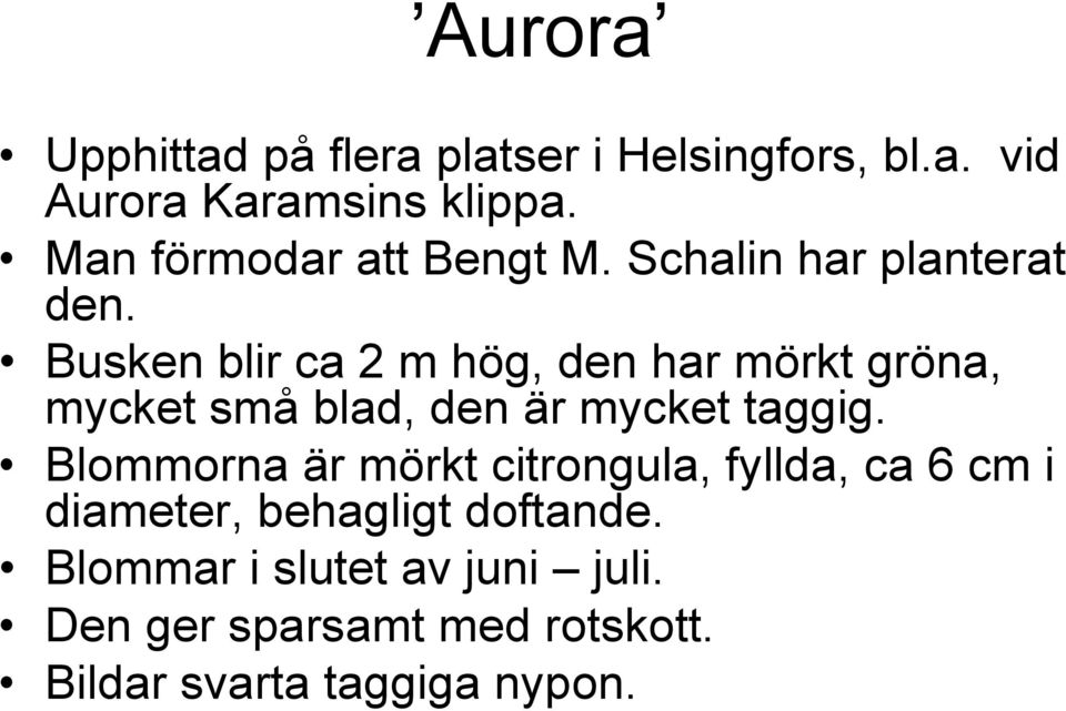 Busken blir ca 2 m hög, den har mörkt gröna, mycket små blad, den är mycket taggig.