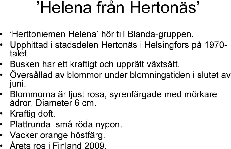 Busken har ett kraftigt och upprätt växtsätt.