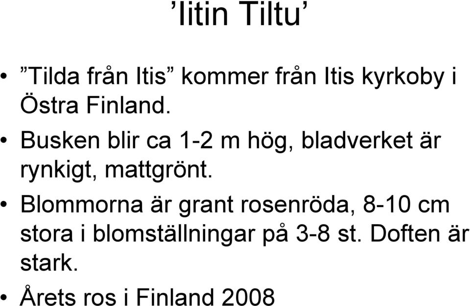 Busken blir ca 1-2 m hög, bladverket är rynkigt, mattgrönt.
