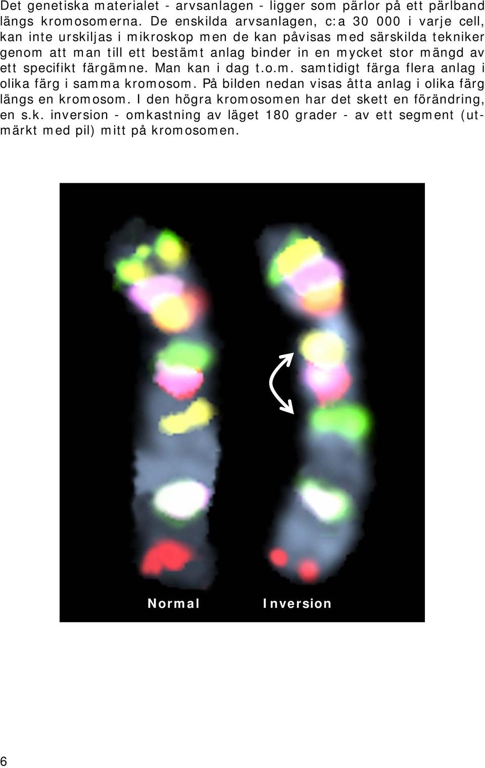 anlag binder in en mycket stor mängd av ett specifikt färgämne. Man kan i dag t.o.m. samtidigt färga flera anlag i olika färg i samma kromosom.