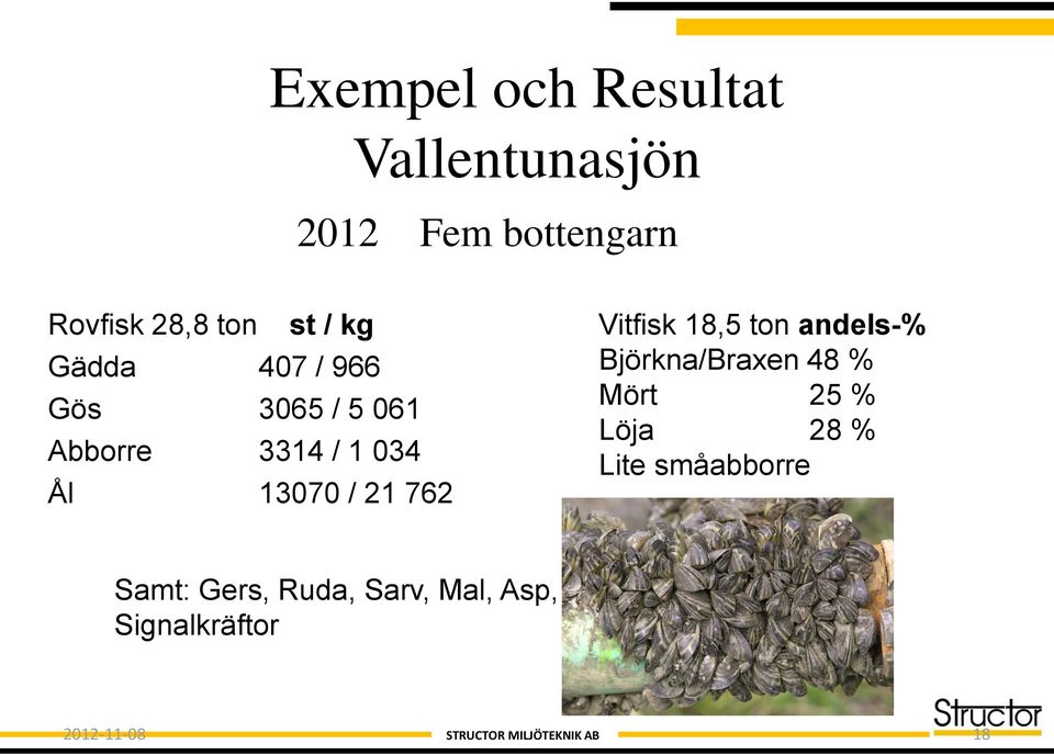 13070 / 21 762 Vitfisk 18,5 ton andels-% Björkna/Braxen 48 % Mört 25 %