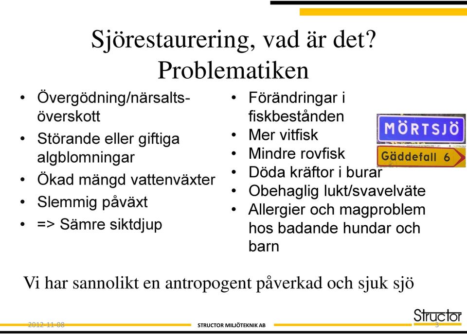 Slemmig påväxt => Sämre siktdjup Problematiken Förändringar i fiskbestånden Mer vitfisk Mindre