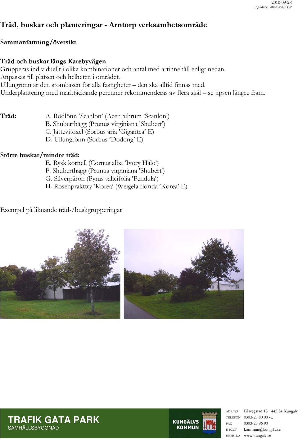 Underplantering med marktäckande perenner rekommenderas av flera skäl se tipsen längre fram. Träd: A. Rödlönn Scanlon (Acer rubrum Scanlon ) B. Shuberthägg (Prunus virginiana Shubert ) C.