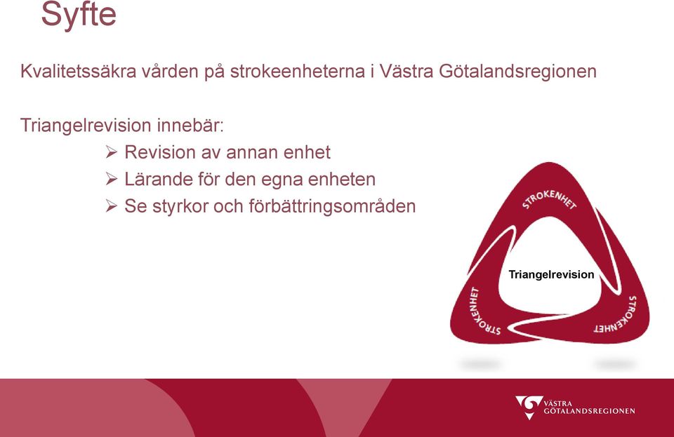 Revision av annan enhet Lärande för den egna